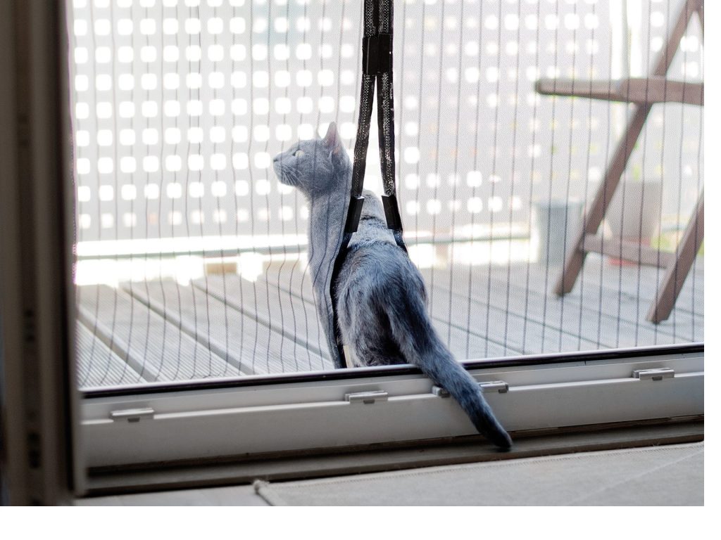 Um die unerwünschten Eindringlinge effektiv und dauerhaft auszusperren, müssen Fenster und Türen nicht ständig geschlossen bleiben.Foto: Pearl/TRD Haus und Garten 