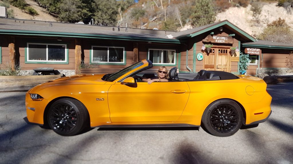 Ford hat noch weitere Sportwagen im Programm. Dieses GT Cabriolet, ist leider nicht in Deutschland erhältlich. © Ford /TRD mobil