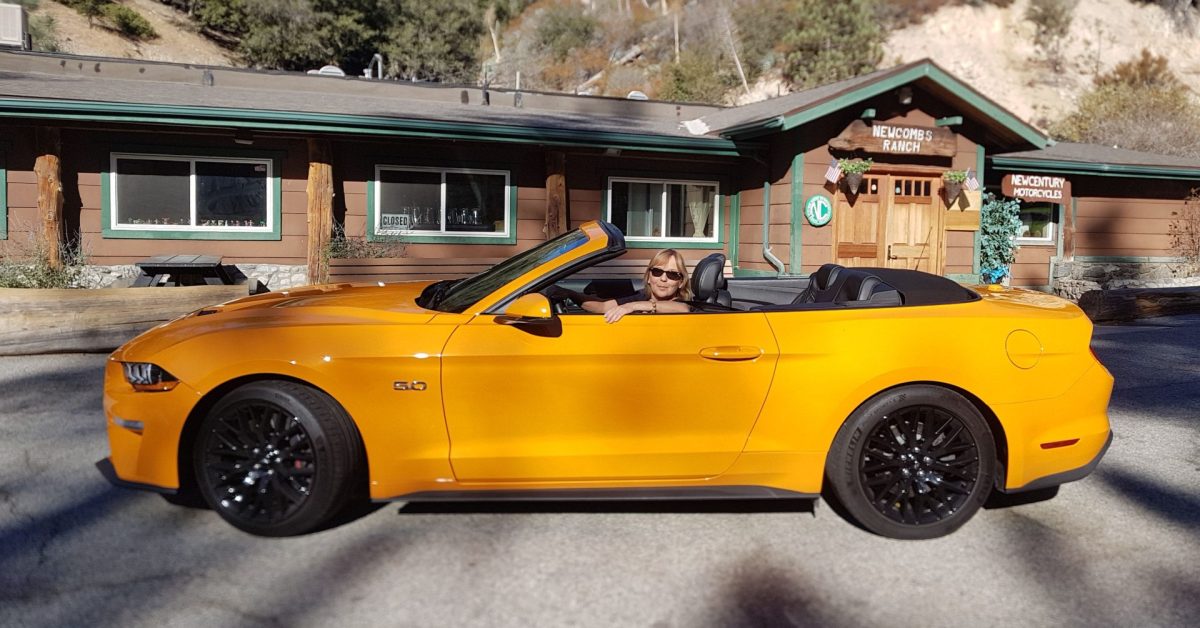 Ford hat noch weitere Sportwagen im Programm. Dieses GT Cabriolet, ist leider nicht in Deutschland erhältlich. © Ford /TRD mobil