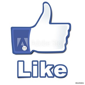 Behörden müssen ihre Facebbok Pages abschalten. Quelle: Golem.de 