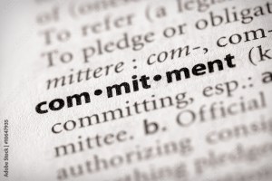 Dictionary Series - Attributes: commitment