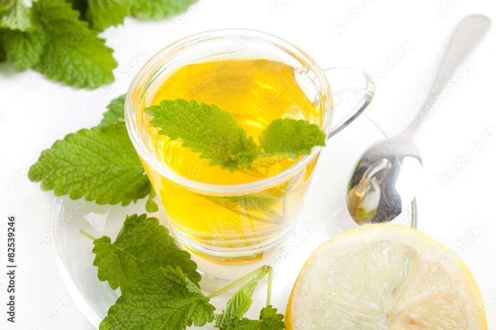 grüner Kräuter-Tee aus Zitronenmelisse